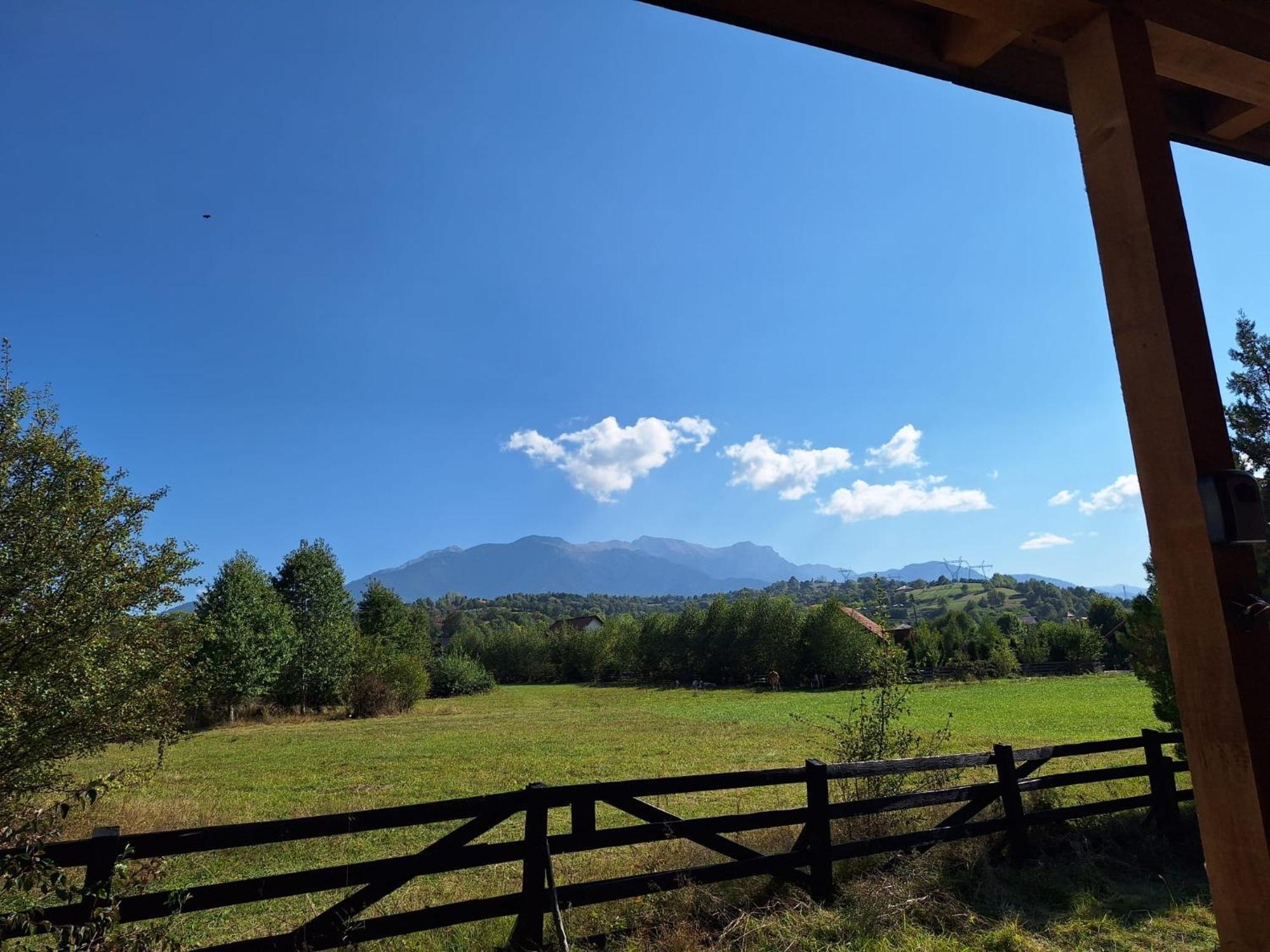 Bran White Clouds House And Chalet ภายนอก รูปภาพ