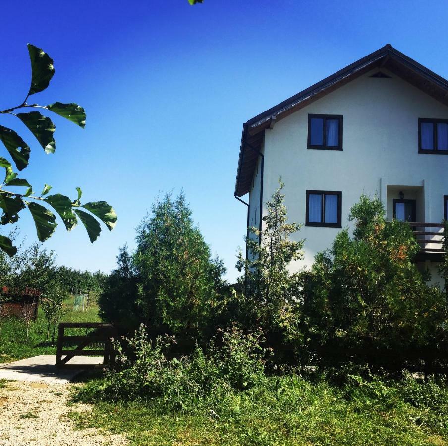 Bran White Clouds House And Chalet ภายนอก รูปภาพ
