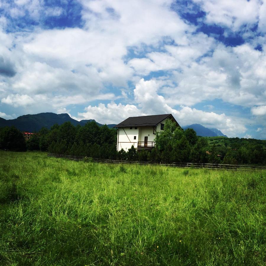Bran White Clouds House And Chalet ภายนอก รูปภาพ